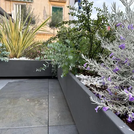 Terrazza Carbonara Konukevi *